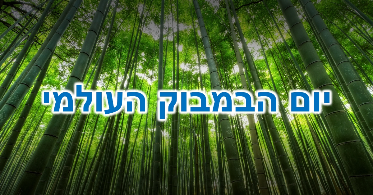 יום הבמבוק העולמי: יער של גזעי במבוק ענקיים שעושה לכם ירוק בעיניים :)