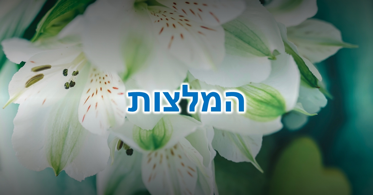 המלצות: צילום תקריב של פרחי אלסטרומריה (חבצלת האינקה) לבנים עם מרכז צהוב ומנומר